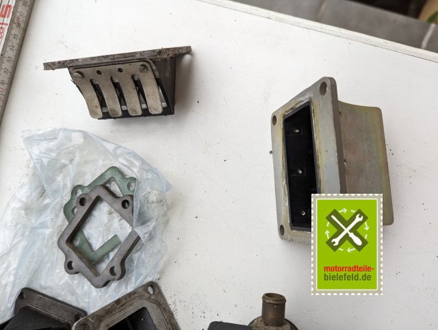 PXL_20240518_155338924